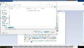 Screenshot, der das Speichern einer Ausgabe des envVisio als JSON-Dokument in Microsoft Edge demonstriert